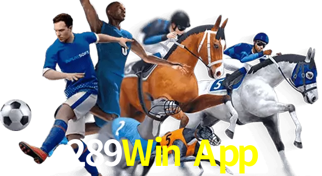289Win App