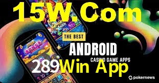 Premium Interface 289Win App