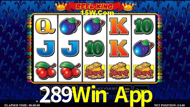 Tennis Betting 289Win App