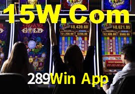 Programa VIP 289Win App